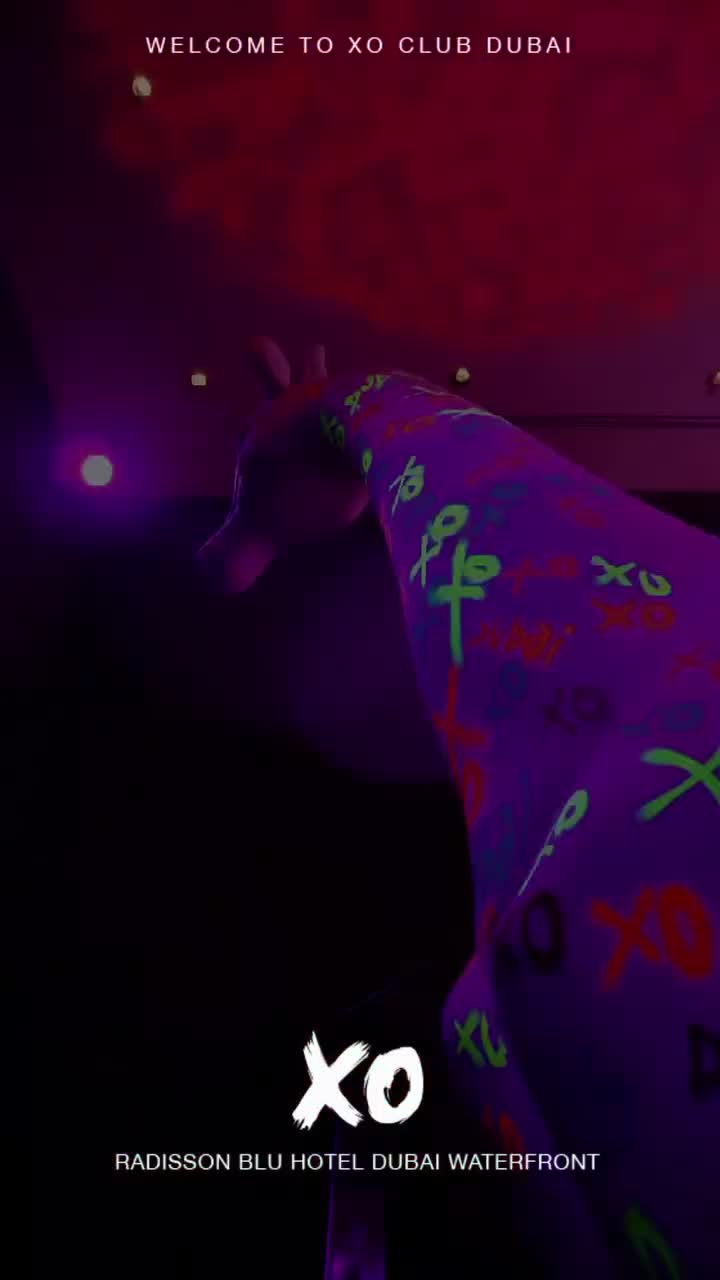 XO Amir performance poster 9